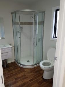 uma casa de banho com uma cabina de duche em vidro e um WC. em Stony Creek, 3 bedroom home, Franz Josef em Franz Josef