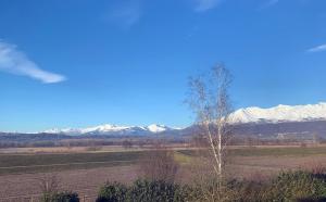 a field with snow capped mountains in the background at Hotel Gardenia in Romano Canavese