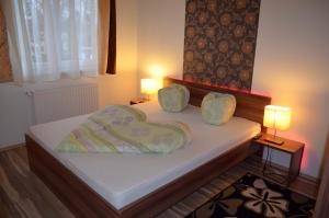 Posteľ alebo postele v izbe v ubytovaní Timi wellness Apartman Siófok