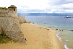 einen Strand am Meer mit einem Kreuzfahrtschiff in der Unterkunft T2 type new yorkais in Ajaccio