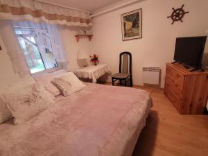 1 dormitorio con 1 cama, TV y mesa en Wojciechówka, en Ustka