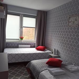 オルシュティンにあるApartament Familijnyのベッドルーム1室(ベッド2台、窓付)