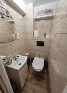 a small bathroom with a toilet and a sink at Wojciechówka in Ustka +13 photos