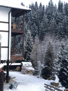 domek narciarski ze śniegiem na ziemi i drzewami w obiekcie Готель RIVER HILL w mieście Mikuliczyn