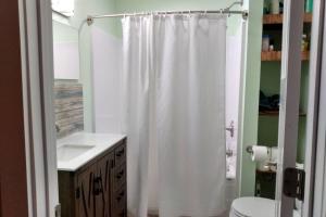 ein Badezimmer mit einem weißen Duschvorhang und einem WC in der Unterkunft Main Street home near Starved Rock and Downtown Ottawa in Ottawa