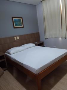 Cama ou camas em um quarto em Rede Andrade Guaíra