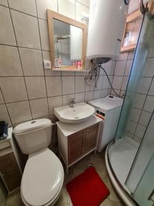 ein Badezimmer mit Toilette, Waschbecken und Spiegel in der Unterkunft Mountain House Mijatović in Kopaonik + 19 Fotos