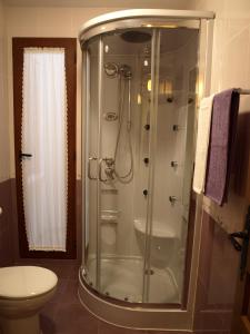 a shower in a bathroom with a toilet at Apartamentos Rurales El Palomar in Villar del Humo