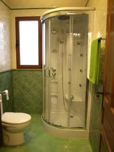 y baño con ducha y aseo. en Apartamentos Rurales El Palomar, en Villar del Humo