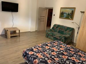 Televiisor ja/või meelelahutuskeskus majutusasutuses Bástya apartman