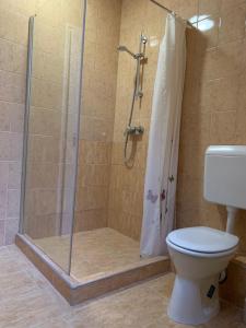 Vannituba majutusasutuses Bástya apartman