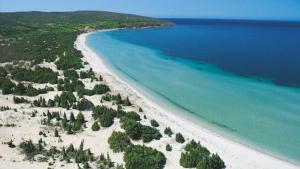 an aerial view of a beach with trees and the ocean at Casa relax Nasiu in Perdaxius