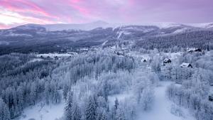 an aerial view of a snow covered forest with mountains at L&B Spa in Karpacz