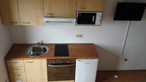 Kuchyňa alebo kuchynka v ubytovaní Apartments Adriatic 3
