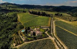 an aerial view of a house in a vineyard at Borgo Del Cabreo in Greve in Chianti