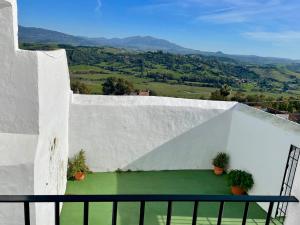 een witte muur met twee potplanten erop bij Casa Rural El Zaguán in Jimena de la Frontera