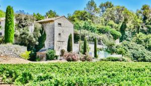 Zahrada ubytování VILLA BEL - Entre paradis et vignes