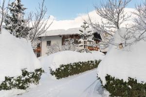 einen schneebedeckten Hof mit Büschen und Bäumen in der Unterkunft Haus Sonnengarten-Lienz in Lienz