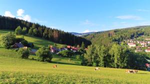 Zdjęcie z galerii obiektu Apartment Votrubcovi w mieście Jablonec nad Jizerou