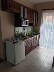 een keuken met een wastafel en een magnetron bij Apartamenty Donald in Krynica Morska