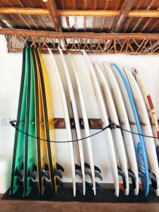 a bunch of surfboards are lined up on a wall at Paredon Surf House in El Paredón Buena Vista +42 photos