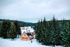 una casa en la nieve junto a un grupo de árboles en Vila Milica - Golija, en Radaljica