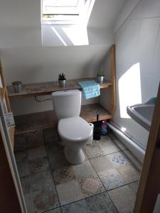 a bathroom with a toilet and a sink at Roz Melen in Châteauneuf-du-Faou +20 photos