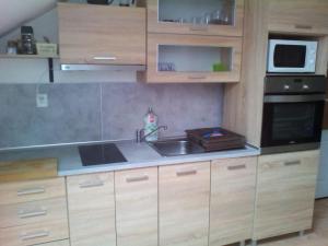 Kuchyň nebo kuchyňský kout v ubytování Apartmán Nerudovka