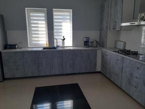 a kitchen with stainless steel cabinets and a sink at Французська вілла in Dilyatyn +24 photos