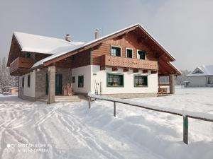 dom ze śniegiem na ziemi przed nim w obiekcie Apartmán Elenka w Zuberzcu
