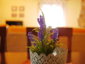 Photo de la galerie de l'établissement Apartamentos Casa Cecilia, à San Juan de Plan