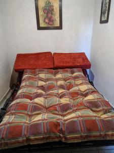 Cuatrociénegas de Carranza的住宿－Casita Felixz，宿舍间的一张床位,配有防过敏设施