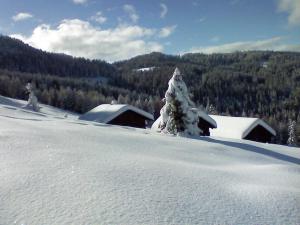 un árbol cubierto de nieve frente a una cabaña en Pirchnerhof en San Lorenzo di Sebato