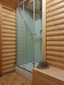 a shower with a glass door in a bathroom at Hotel Erfolg in Daugavpils