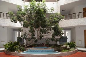 a large courtyard with a tree in a building at Amplio y acogedor departamento frente al Mar Sector 4Esquinas in La Serena