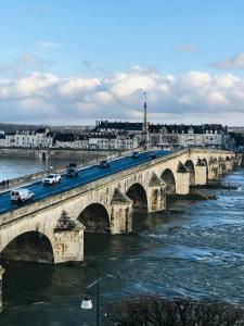 un puente sobre un río con coches en él en Blois, vue panoramique Loire, en Blois