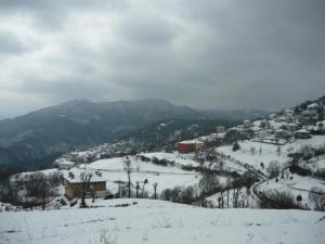 Fotografie z fotogalerie ubytování Ecohotel Vishnevo v destinaci Vishnevo