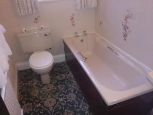 a bathroom with a toilet and a tub and a sink at Rose & Crown Hotel in Bainbridge