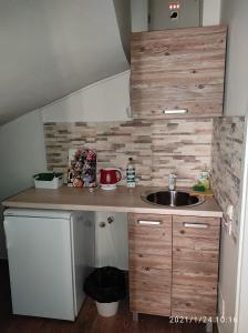 Eldhús eða eldhúskrókur á Retro Mini Apartment