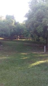 un campo de césped con árboles en el fondo en résidences aux saveurs des mangues, en Baillif