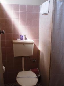 a small bathroom with a toilet and a sink at Mayfield Motel in Newcastle