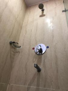 a cat sitting on top of a wooden floor at Leela pavilion in Rājahmundry