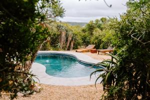 Bazén v ubytování Woodbury Tented Camp – Amakhala Game Reserve nebo v jeho okolí + 27 fotografií