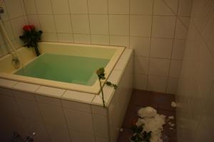 Foto dalla galleria di Hotel Bünda Davos a Davos