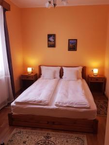 a bedroom with a large bed with two night stands at Villa Atriolum in Băile Tuşnad