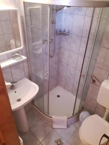 een badkamer met een douche, een toilet en een wastafel bij Villa Atriolum in Băile Tuşnad