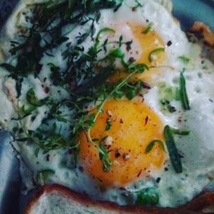 a fried egg on top of a piece of bread at La Casa Art Stay in Udaipur +41 photos