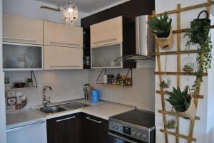 a kitchen with a sink and a stove top oven at Apartman Nai in Bjelašnica