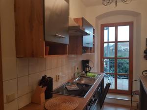 a kitchen with a sink and a counter top at Kleiner-Muldenblick in Leisnig