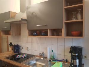 cocina con fregadero y encimera en Kleiner-Muldenblick en Leisnig